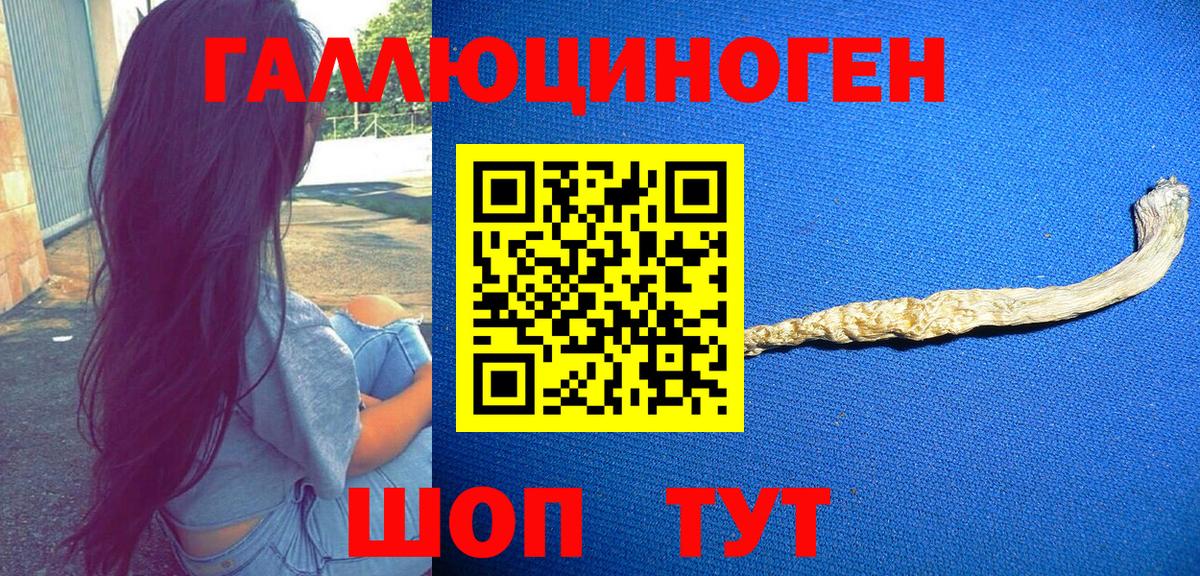 Советская Гавань  Псилоцибиновые грибы Cubensis  сколько стоит  Вход с VPN 